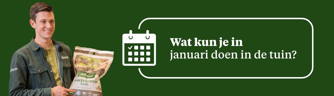 [paste advice page name here]